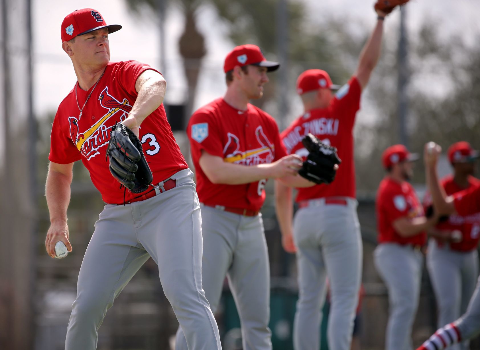 Cardinals spring training continues